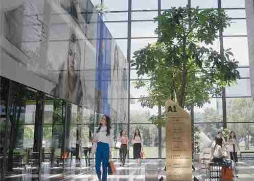 巨星国际光电简介