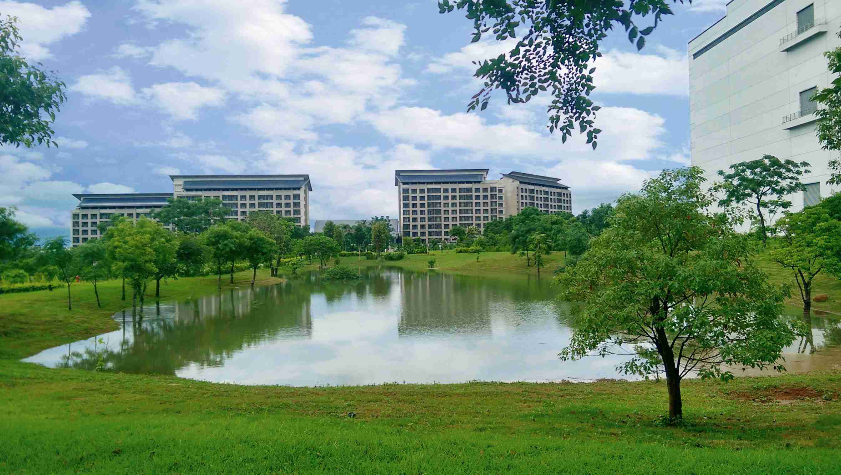 巨星国际响应国际倡议生物多样性趋势，，首次发布TNFD自然相关财务揭露报告书，，，，擘划及开展巨星国际生物多样性政策之承诺，，逐步迈向与自然和谐共生